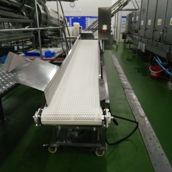 สายพานโมดูล่าร์ (Modular Belt Conveyor)