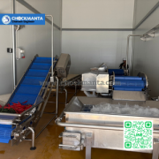 เครื่องล้างผักกาดดอง อุตสาหกรรม 2 ตัน/ชม. ระบบ Bubble สแตนเลส Food Grade | Chockmanta